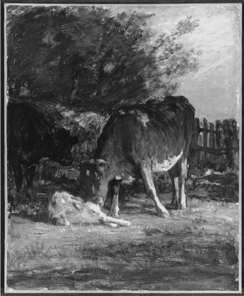 Le veau nouveau-né, 1881, John Bernard Johnston