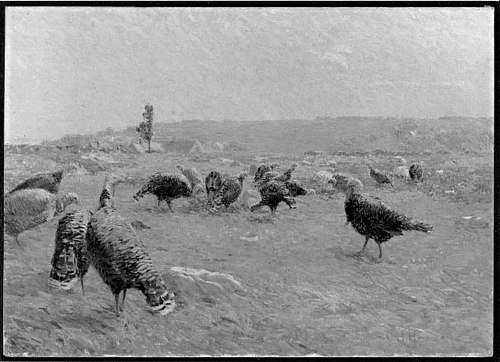 Turkey Pasture, 1895, Charles Henry Hayden