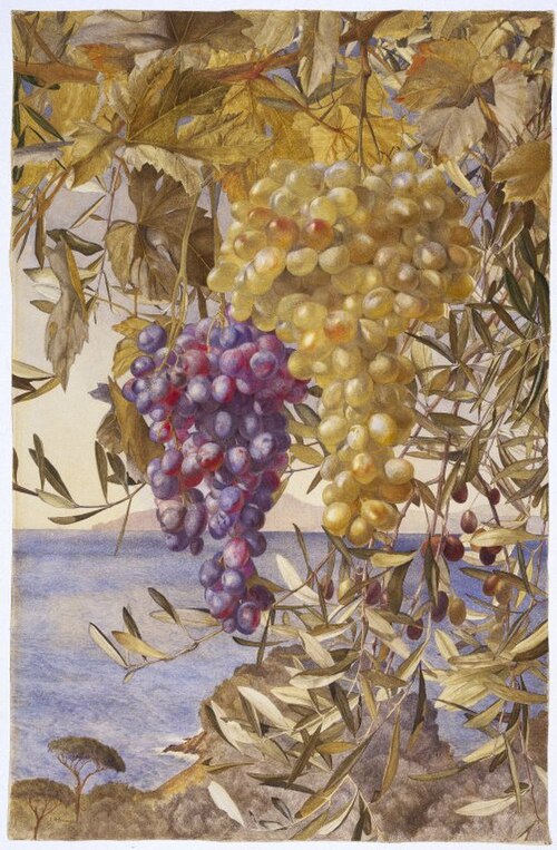 Grapes and Olives, 1878, Henry Roderick Newman