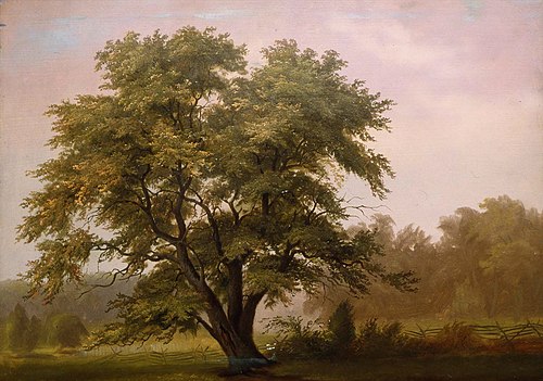 Landscape with Large Tree, 1860, Reuben Oliver Luckenbach