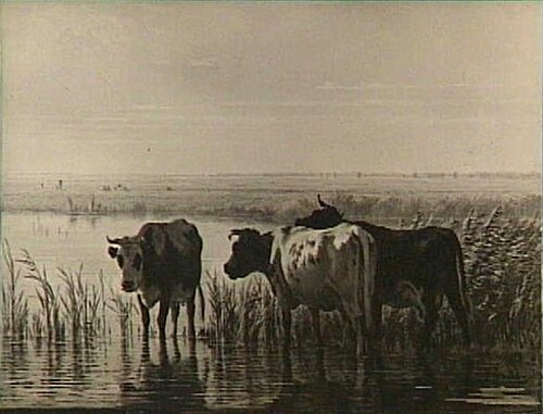 Early Morning on the Lakes, 1865, Pieter Stortenbeker