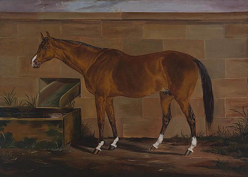 Portrait of Lexington, 1857, Thomas J. Scott