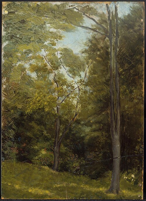 Landscape, , Edward Stieglitz