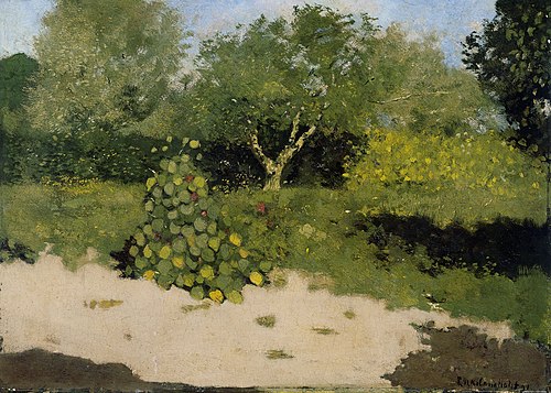 Corner of a Garden with Nasturtiums, 1891, Richard Roland Holst