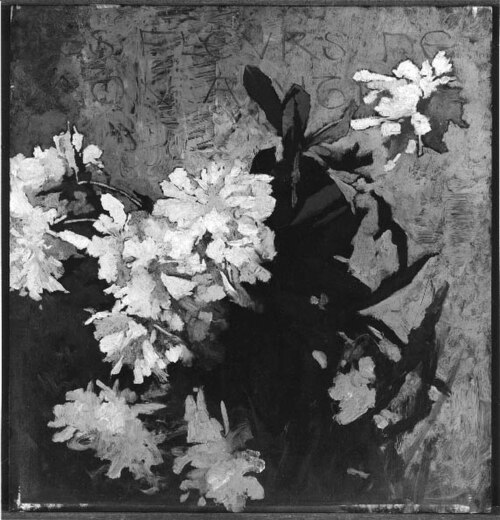 Rhododendrons, 1880, Sarah W. Whitman