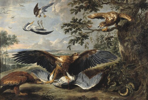 Fight between Eagles, , Pieter Boel