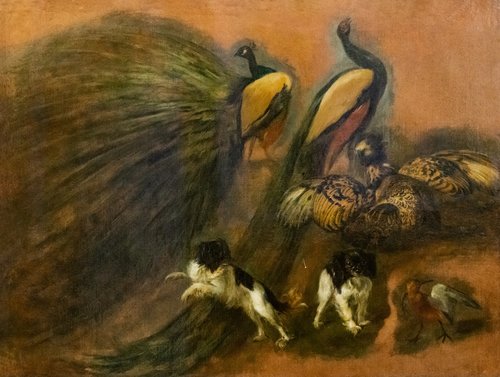 Paons, chiens et oiseaux, 1662, Pieter Boel