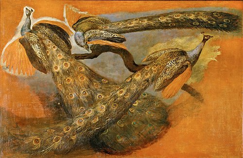 Triple étude d'un paon, 1662, Pieter Boel