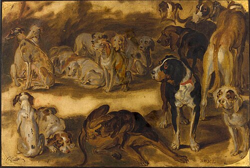 Dix-sept études de différents chiens, 1671, Pieter Boel