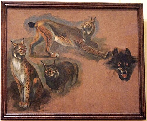 Lynx et loup, 1601, Pieter Boel