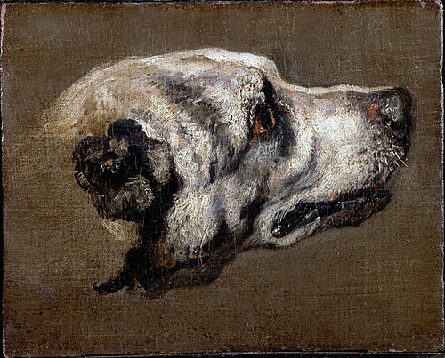 Head of a Hound, 1674, Pieter Boel