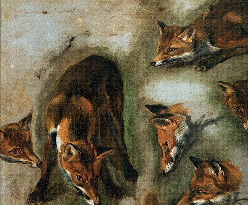 Renards, 1662, Pieter Boel