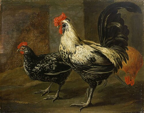 Cockerel and Hens, 1650, Pieter Boel