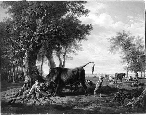 Hirt, von einem Stier angegriffen, 1815, Carl Kuntz
