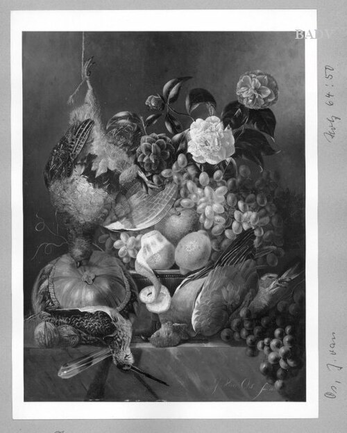 Stillleben mit toten Vögeln, Kamelie und Obst, 1800, Jan van Os
