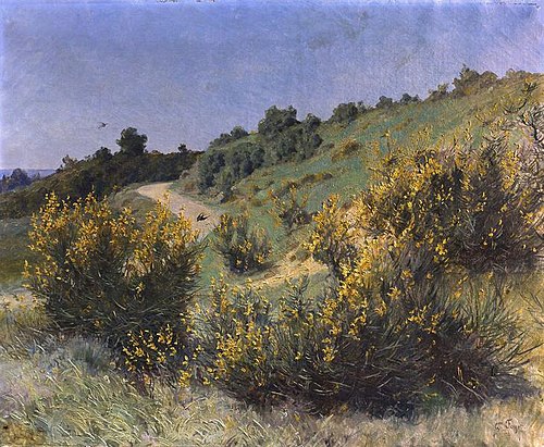 Genêts en fleurs, 1894, Gustave Fayet