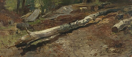 Tree trunk, 1858, Johannes Warnardus Bilders