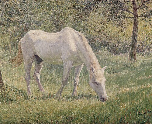 Le Cheval blanc, , Georges Buysse