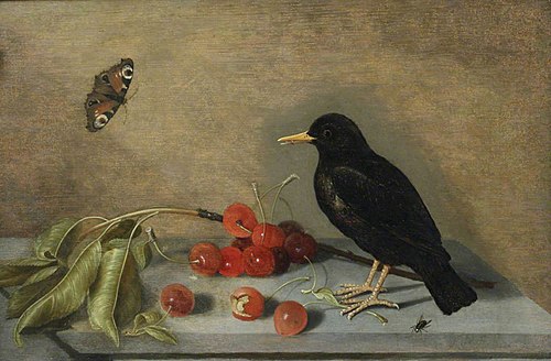 Blackbird, Butterfly and Cherries, 1635, Ambrosius Bosschaert le Jeune