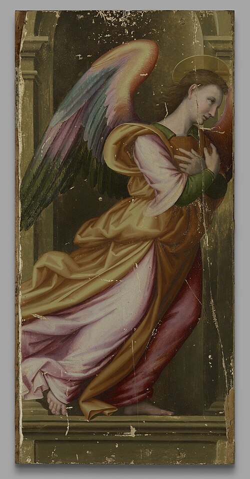 Angel in Adoration, 1510, Giovanni Antonio Sogliani
