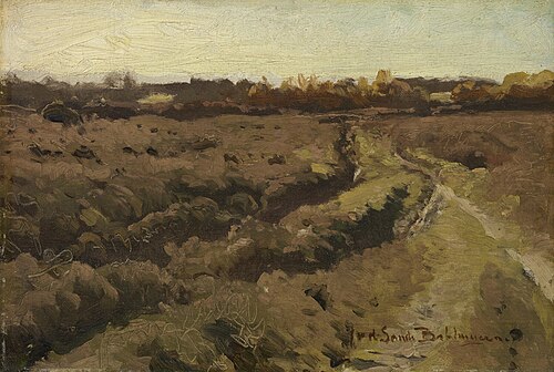 Heide bij Rolde, , Julius Jacobus van de Sande Ba