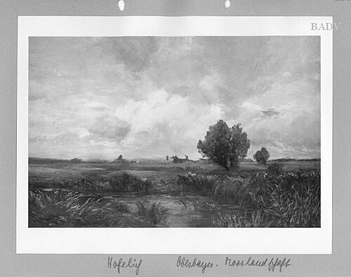 Landscape in the Bavarian moore, 1880, Ludwig Friedrich Hofelich