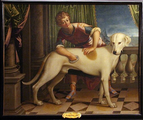 il cane roldano, , Aurelio Lomi