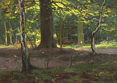 Boslandschap, 1900, Paul Bodifée