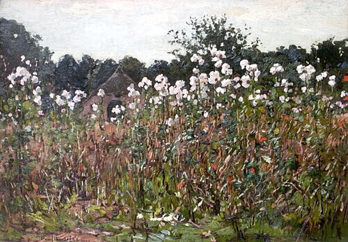 Uitgebloeide distels, 1913, Paul Bodifée