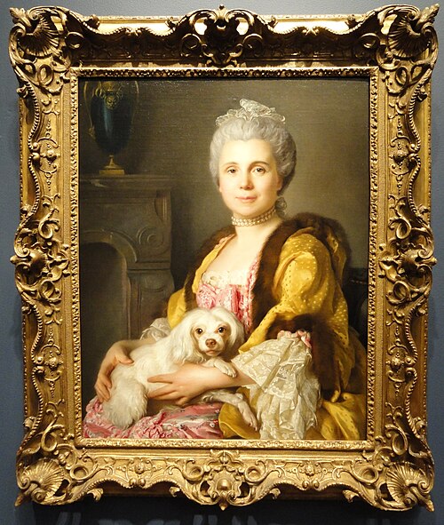 Portrait of Madame Fréret d’Héricourt, 1769, Joseph-Siffred Duplessis