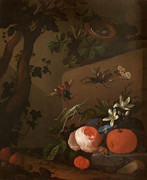 Still Life of Flowers in a Vase, Cape Gooseberries and Stag-beetles, 1709, Philip van Kouwenbergh