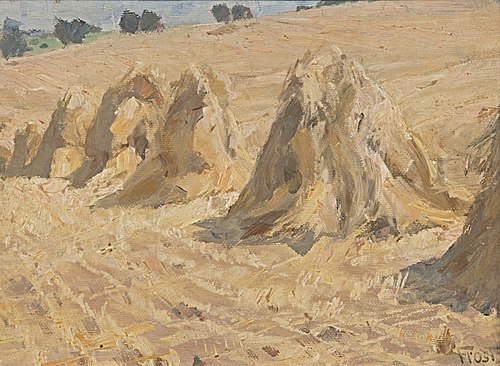 Ährenfeld, 1920, Martin Frost