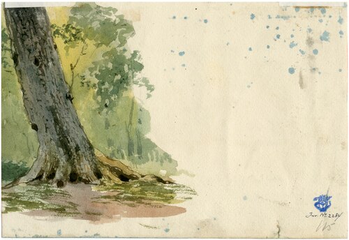 Boomstudie, , Lambertus Hardenberg