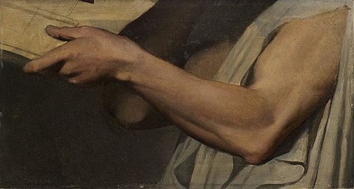 Étude de bras pour Pindare dans L'Apothéose d'Homère, 1826, Jean-Auguste Dominique Ingres