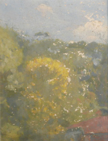 Flores do Meu Jardim, 1940, Eliseu Visconti