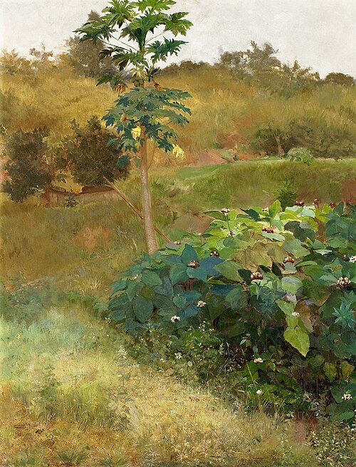 Mamoeiro, 1889, Eliseu Visconti