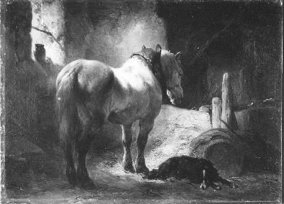 Schimmel, 1850, Wouterus Verschuur