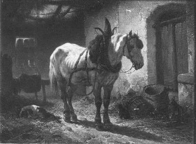 Schimmel in stal, 1850, Wouterus Verschuur
