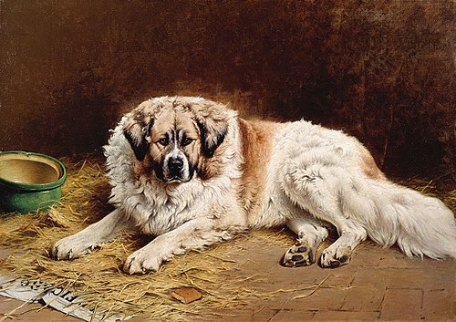 Figaro - pet Pyrenean mountain dog, 1878, Wouterus Verschuur