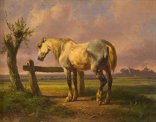 Schimmel in weide, 1852, Wouterus Verschuur
