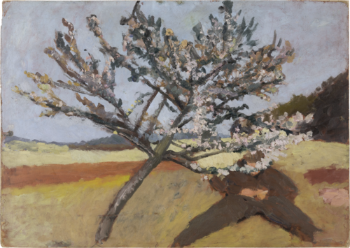 Man lying beneath a Blossoming Tree, 1903, Paula Modersohn-Becker