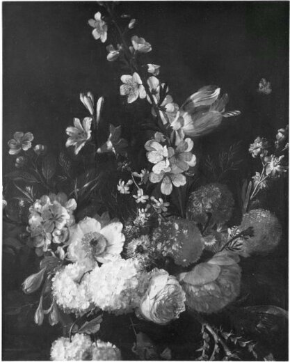 flower stilllife, 1714, Rachel Ruysch