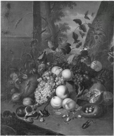 Stillife- fruits, 1715, Rachel Ruysch