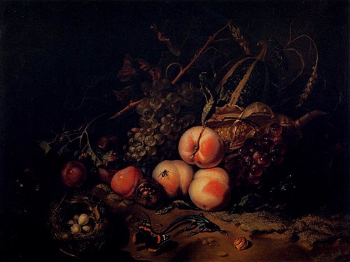 Still-Life with Fruit and Insects, 1711, Rachel Ruysch