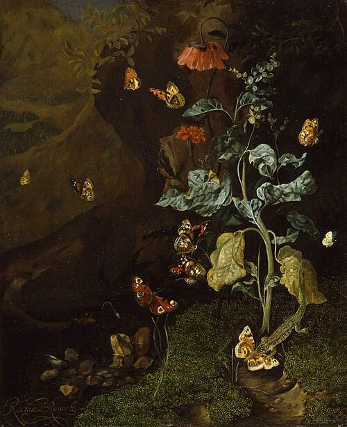 Insects and a lizard in a wood, 1684, Rachel Ruysch