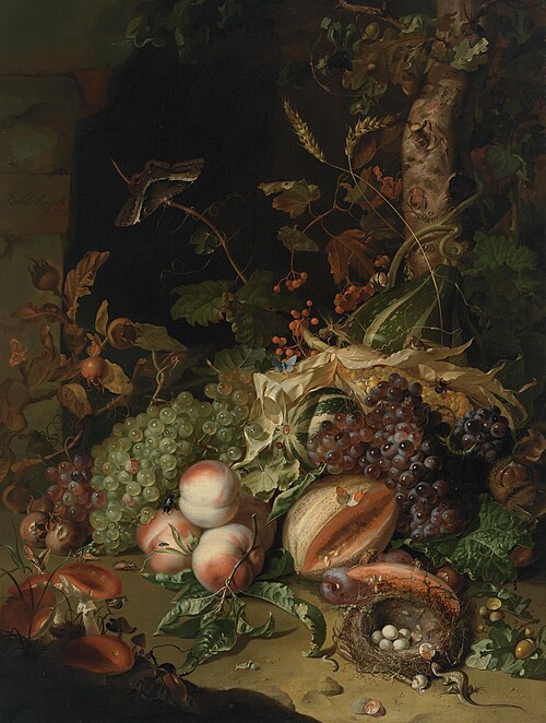 Fruit on a Forest Floor, 1709, Rachel Ruysch