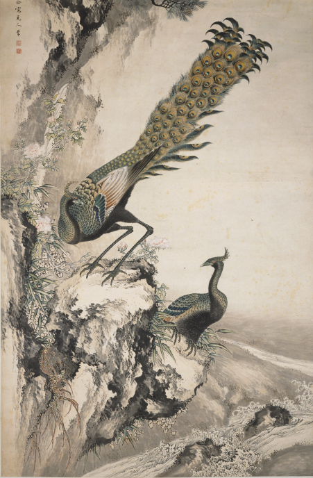 清 沈铨 孔雀图轴, , Shen Quan