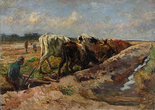 Ploegossen, 1915, Roland Larij