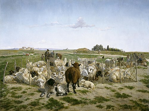 Un redil de ovejas extramuros de la puerta de Bilbao de Madrid, 1862, Mariano de la Roca y Delgado