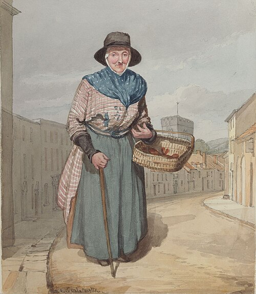 Mary Edwards aged 85, Carmarthen, 1818, George Orleans Delamotte